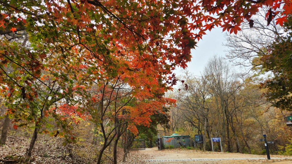 서울대수목원 후문