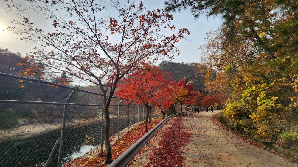 서울대 관악수목원
