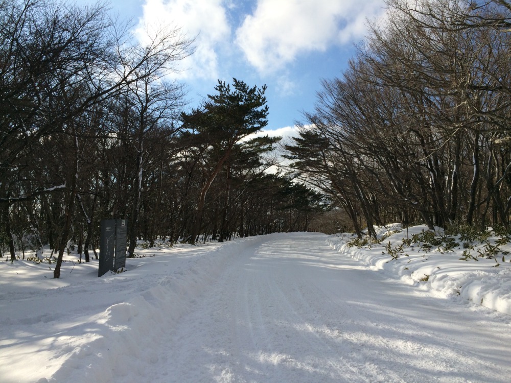 폭설이 내리면 제1주차장에서 탐방로 입구가 있는 제2주차장까지의 2.5km 도로를 걸어야 한다.