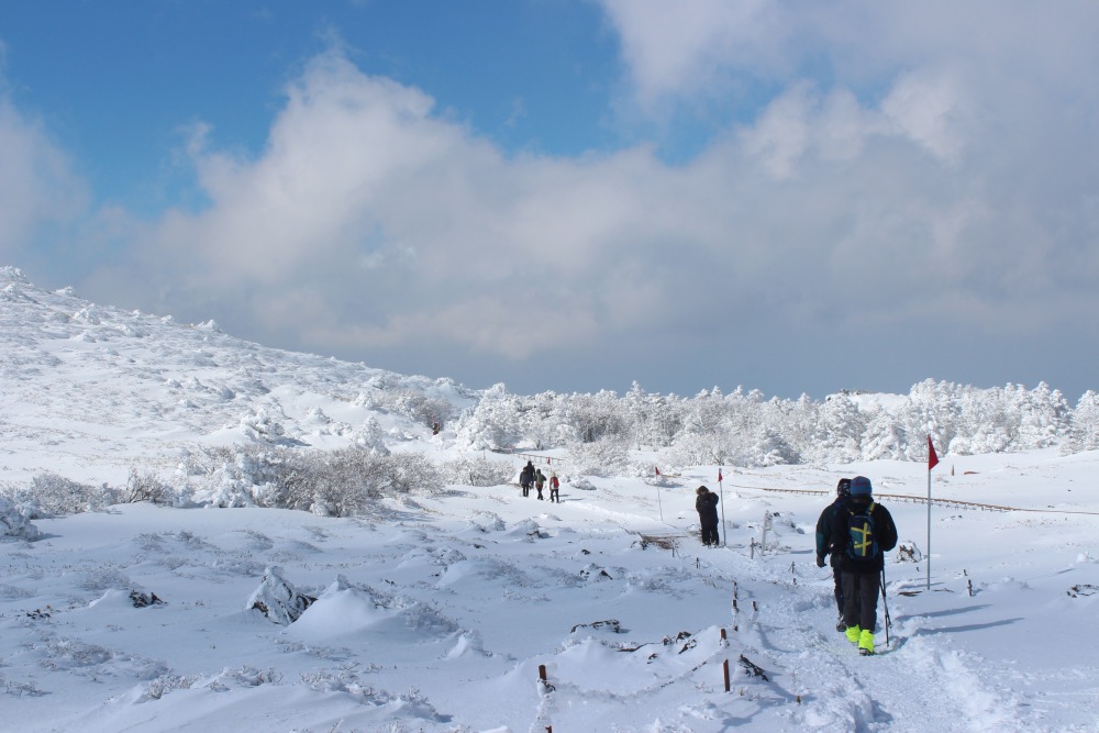 어리목 코스의 만세동산