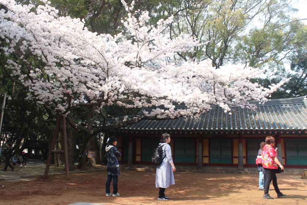 고풍스러움과 화려함의 조화 삼성혈